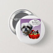 Shih Tzu (natürlich) Halloween Candy Button (Vorne & Hinten)