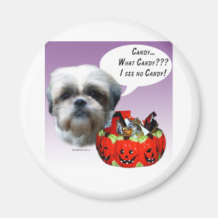 Shih Tzu (natürlich) Halloween Candy Magnet