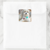 Shih Tzu nennt Liz Sticker (Tasche)