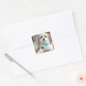 Shih Tzu nennt Liz Sticker (Umschlag)