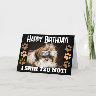 Shih tzu nicht lachen Spaß Glücklich Geburtstag Gr Karte