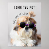 Shih Tzu Nicht lustige niedliche Hunde Liebhaber C Poster (Vorne)