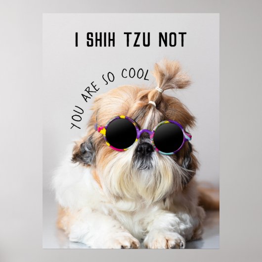 Shih Tzu Nicht lustige niedliche Hunde Liebhaber C Poster (Vorne)