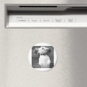 Shih Tzu Nickerchen Magnet (In Situ (Geschirrspüler))