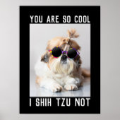 Shih Tzu Not fun cute cool dog Custom text Poster (Vorne)