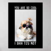 Shih Tzu Not fun cute dog lovers Custom Photo text Poster (Vorne)
