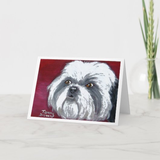 Shih Tzu Notecard Karte (Vorderseite)