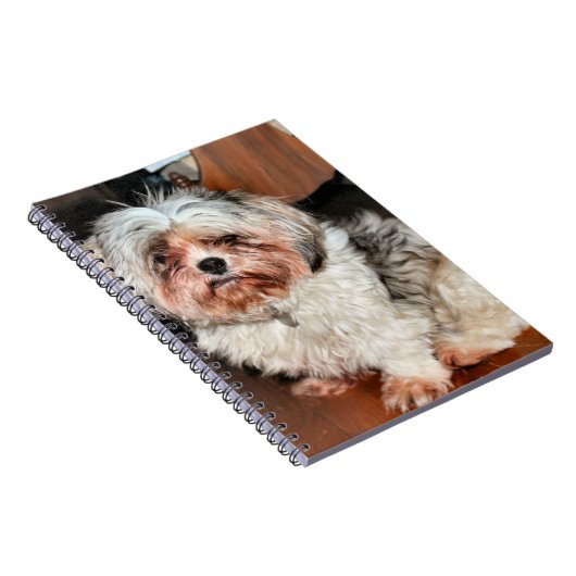 Shih Tzu Notizblock (Rechte Seite)