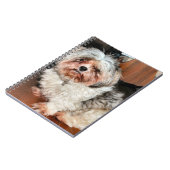 Shih Tzu Notizblock (Linke Seite)
