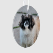 Shih Tzu Ornament (Vorderseite)