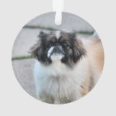 Shih Tzu Ornament (Rückseite)