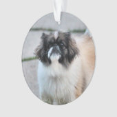 Shih Tzu Ornament (Vorderseite)