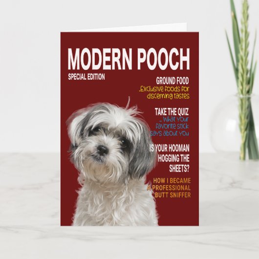 Shih Tzu Parody Magazine Cover Card Karte (Vorderseite)
