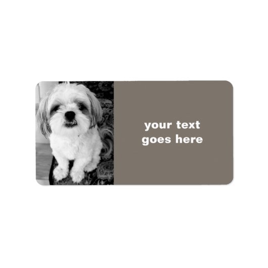 Shih Tzu Personalisiert Address Labels Adressaufkleber (Vorne)