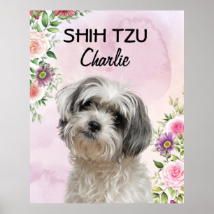 Shih Tzu Personalisiertes Poster