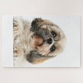 Shih Tzu Pet Dog Foto Puzzle (Horizontal)
