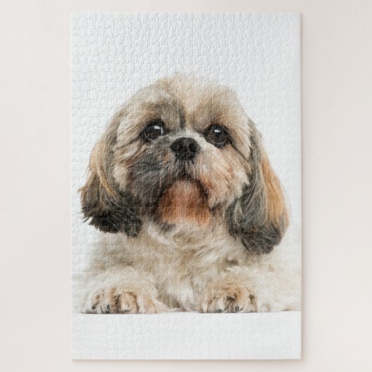Shih Tzu Pet Dog Foto Puzzle (Vertikal)