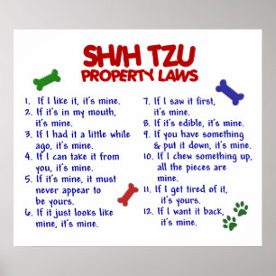SHIH TZU PL2 POSTER