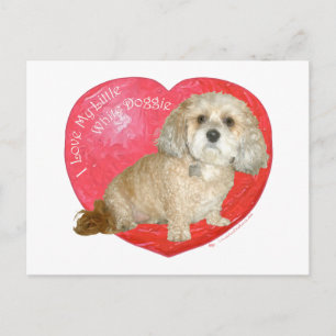 Shih Tzu / Poodle-Mischling zum Valentinstag Feiertagspostkarte