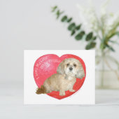 Shih Tzu / Poodle Mix Valentinstag Feiertagspostkarte (Stehend Vorderseite)