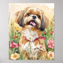 Shih Tzu Portrait Art - Niedliche Dog Wall Print D