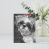 Shih Tzu Post Card Postkarte (Stehend Vorderseite)