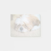 Shih Tzu Post-it Klebezettel (Vorderseite)