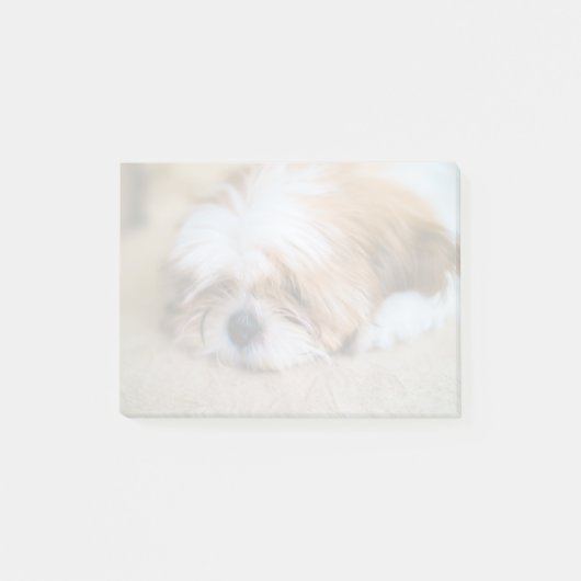 Shih Tzu Post-it Klebezettel (Vorderseite)