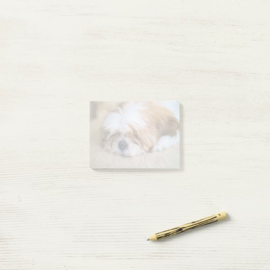 Shih Tzu Post-it Klebezettel (Auf Schreibtisch)