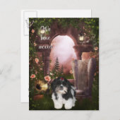 Shih Tzu Postcard "We have move" Ankündigungspostkarte (Vorne/Hinten)