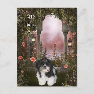 Shih Tzu Postcard "We have move" Ankündigungspostkarte