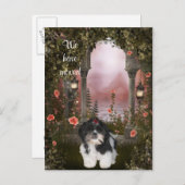 Shih Tzu Postcard "We have move" Ankündigungspostkarte (Vorne/Hinten)