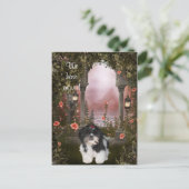 Shih Tzu Postcard "We have move" Ankündigungspostkarte (Stehend Vorderseite)