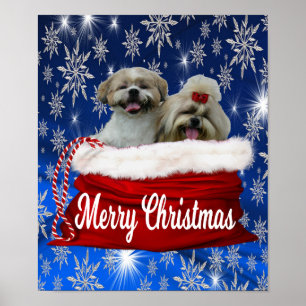 Shih tzu Poster Weihnachten