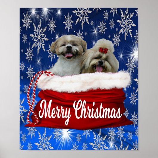 Shih tzu Poster Weihnachten (Vorne)