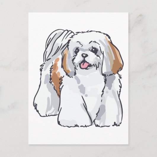 Shih Tzu Postkarte (Vorderseite)