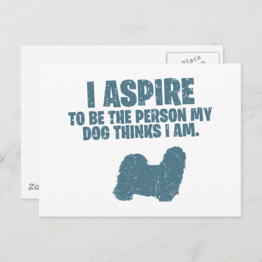 Shih Tzu Postkarte (Vorne/Hinten)