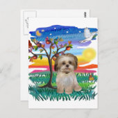 Shih Tzu Pup #2 Postkarte (Vorne/Hinten)