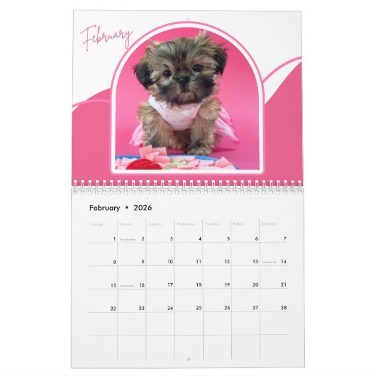 Shih-Tzu Puppies Photo Collage Calendar Kalender (Feb 2026)
