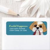 Shih Tzu Puppy auf Blue | Kennzeichnung der Hunder (Insitu)