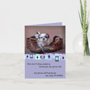 Shih Tzu Puppy Birthday Greetings Karte