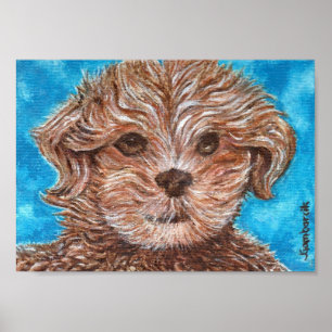 Shih Tzu Puppy Dog drucken Poster