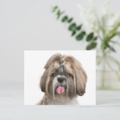 Shih Tzu Puppy Dog - Hallo Liebe, Denken Sie an Si Postkarte (Stehend Vorderseite)