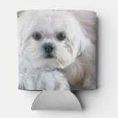 Shih Tzu Puppy Dosenkühler (Rückseite)