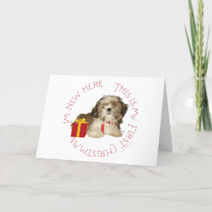 Shih Tzu Puppy First Christmas Feiertagskarte