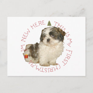 Shih Tzu Puppy First Christmas Feiertagspostkarte