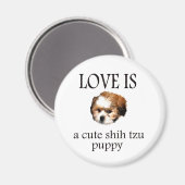 Shih Tzu Puppy Magnet (Vorderseite/Rückseite)