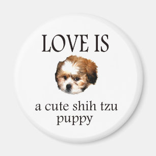 Shih Tzu Puppy Magnet