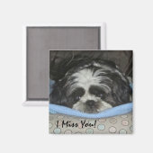 Shih Tzu Puppy Magnet - Bestellen wie besetzt oder (Vorderseite/Rückseite)