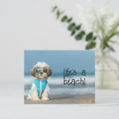 Shih Tzu Puppy mit Sonnenbrille Postkarte (Stehend Vorderseite)